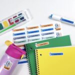 62 Pcs Bluey Inspired Waterproof Name Stickers