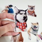 Custom Pet Sticker, Waterproof Custom Dog Sticker, Personalized Pet Sticker - Removable Vinyl, Glossy Stickers, Pet Photo Print