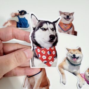 Custom Pet Sticker, Waterproof Custom Dog Sticker, Personalized Pet Sticker - Removable Vinyl, Glossy Stickers, Pet Photo Print