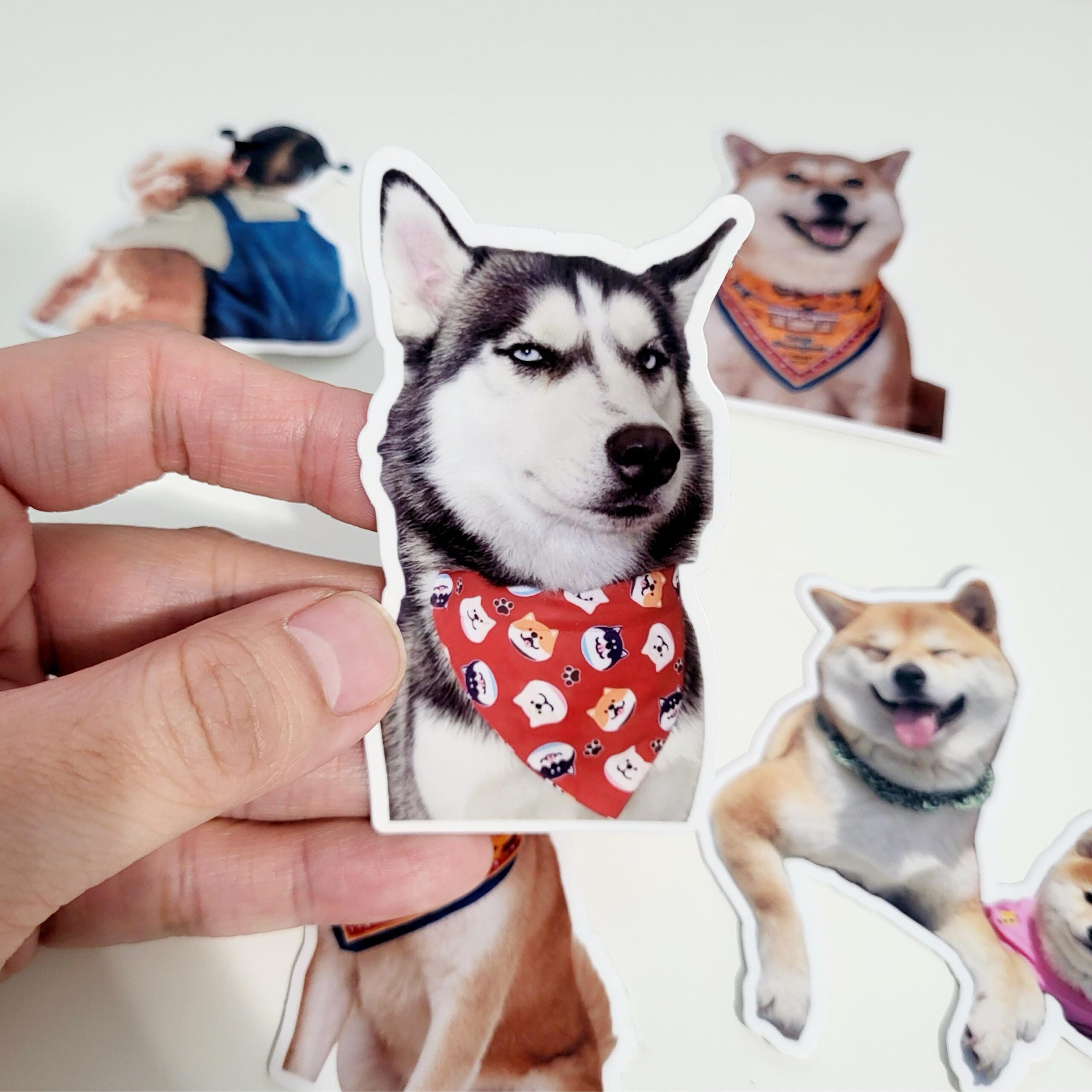 Custom Pet Sticker, Waterproof Custom Dog Sticker, Personalized Pet Sticker - Removable Vinyl, Glossy Stickers, Pet Photo Print