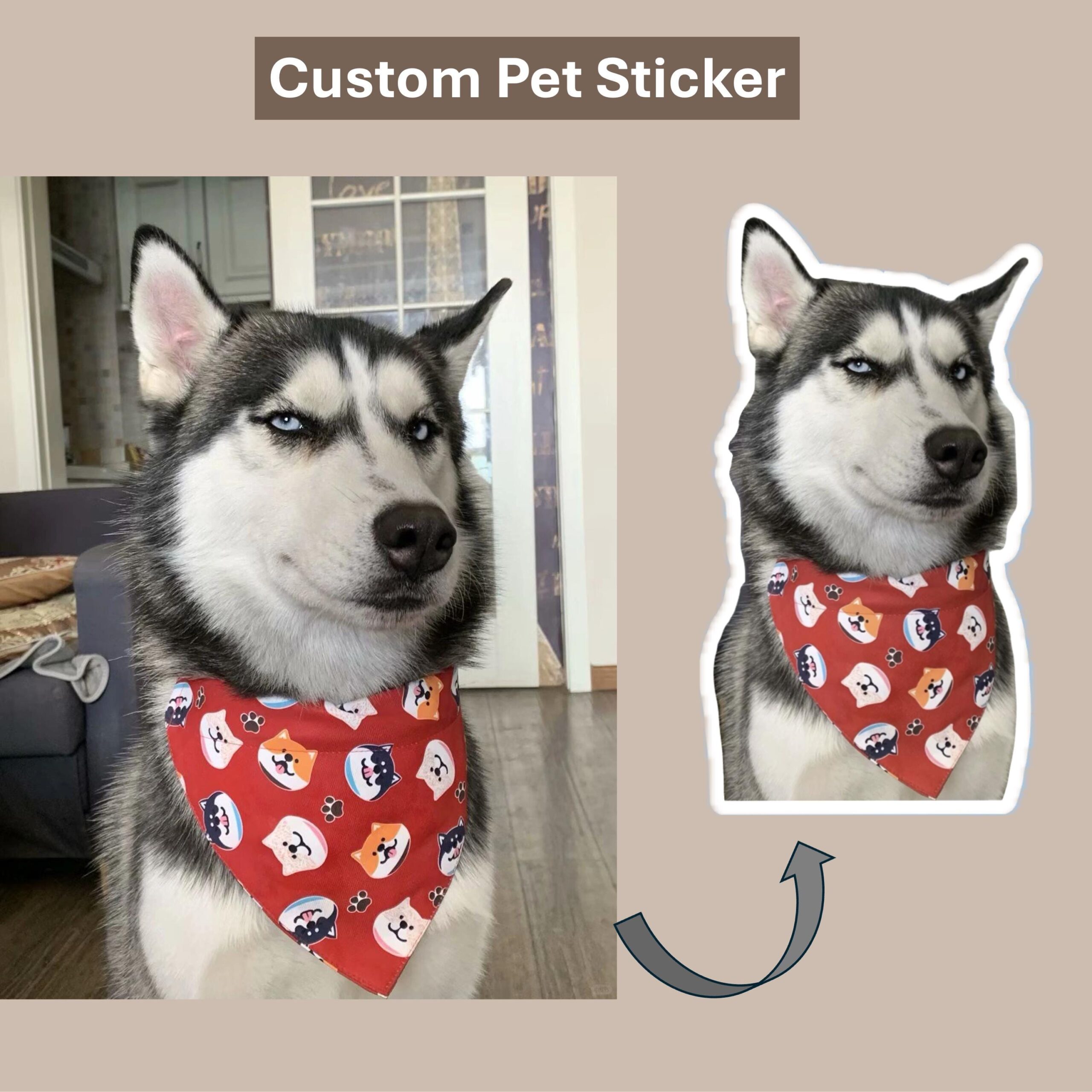 Custom Pet Sticker, Waterproof Custom Dog Sticker, Personalized Pet Sticker - Removable Vinyl, Glossy Stickers, Pet Photo Print - Image 2