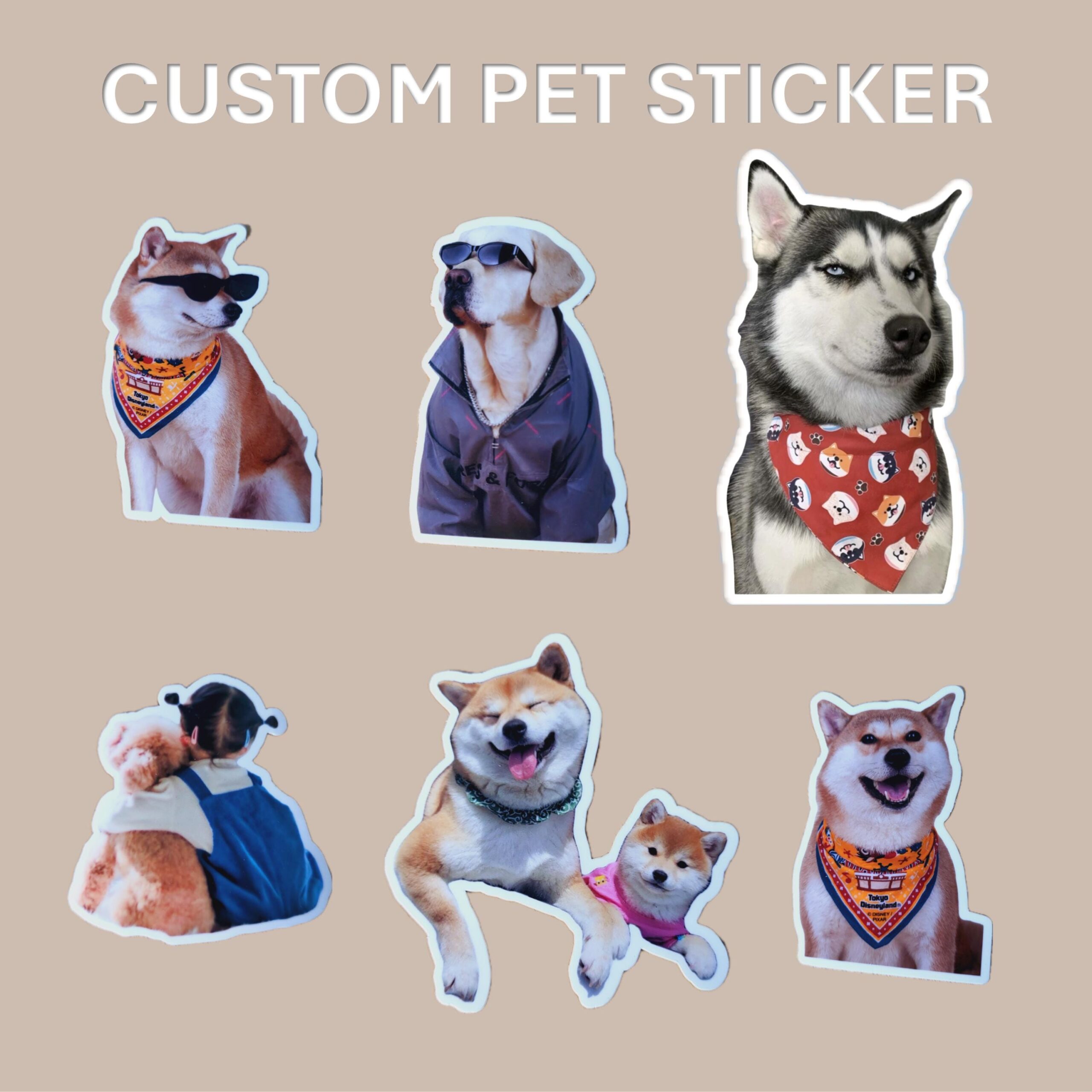 Custom Pet Sticker, Waterproof Custom Dog Sticker, Personalized Pet Sticker - Removable Vinyl, Glossy Stickers, Pet Photo Print - Image 4