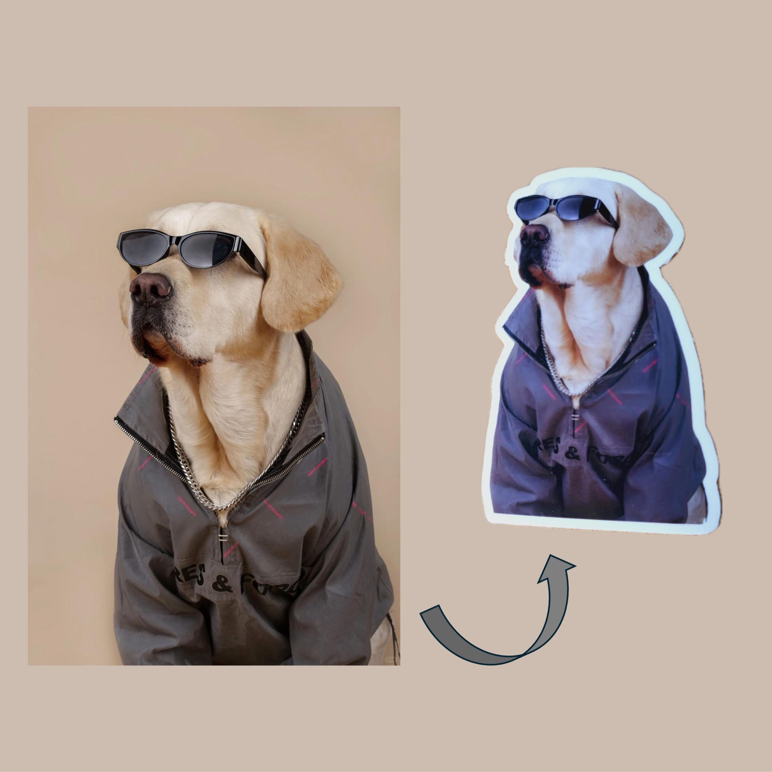 Custom Pet Sticker, Waterproof Custom Dog Sticker, Personalized Pet Sticker - Removable Vinyl, Glossy Stickers, Pet Photo Print - Image 6