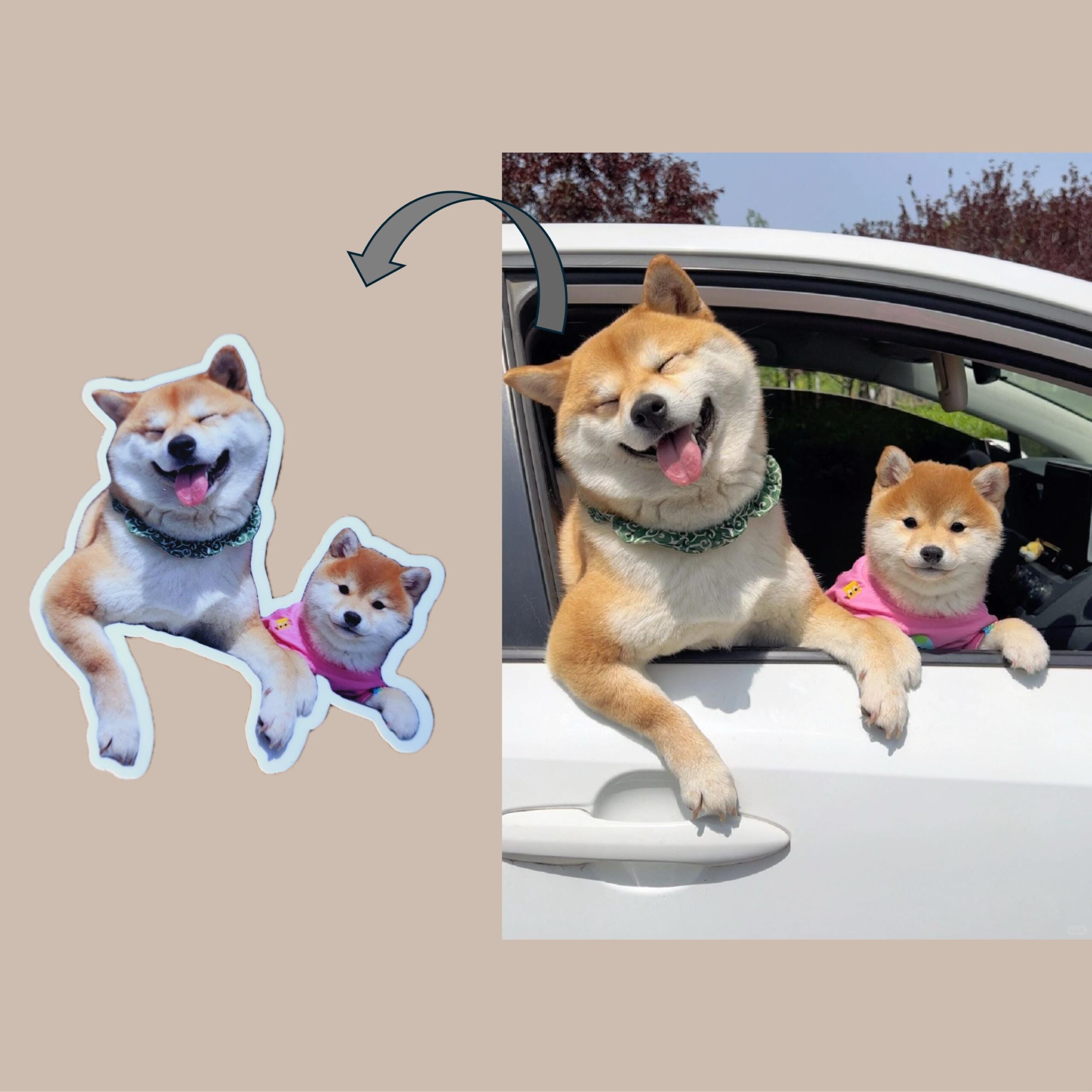 Custom Pet Sticker, Waterproof Custom Dog Sticker, Personalized Pet Sticker - Removable Vinyl, Glossy Stickers, Pet Photo Print - Image 7