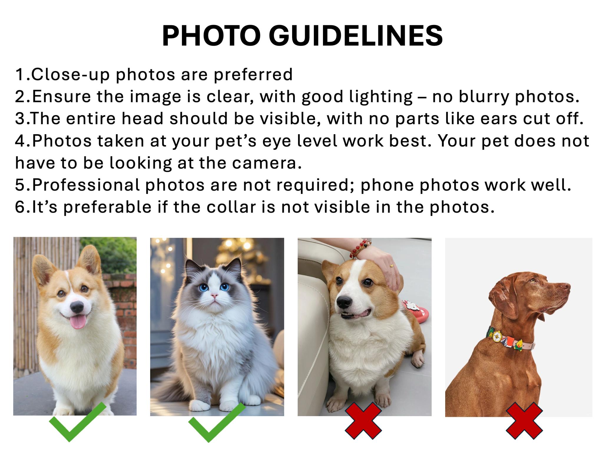 Custom Digital Pet Portrait: Funny Dog Bathroom Newspaper Art - Image 8